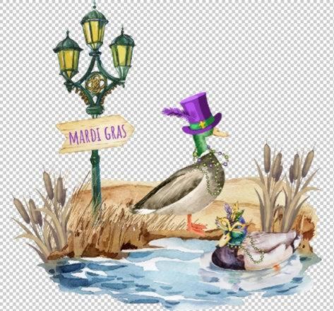 Duck Pond Modal Mardi Gras Shirt